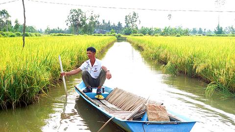 Ngược dòng ST 