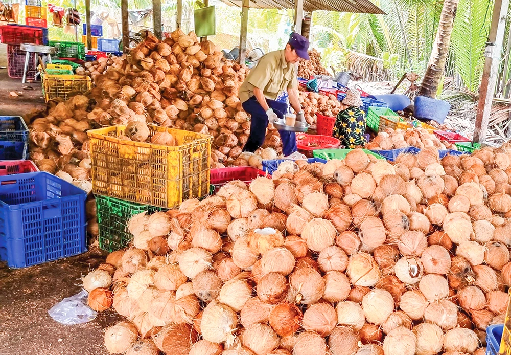 Dạo quanh thị trường ngày 24-6 