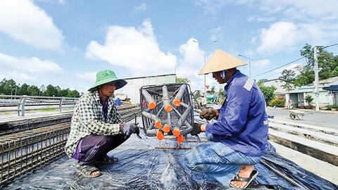 Đẩy nhanh tiến độ thực hiện và giải ngân vốn đầu tư công 