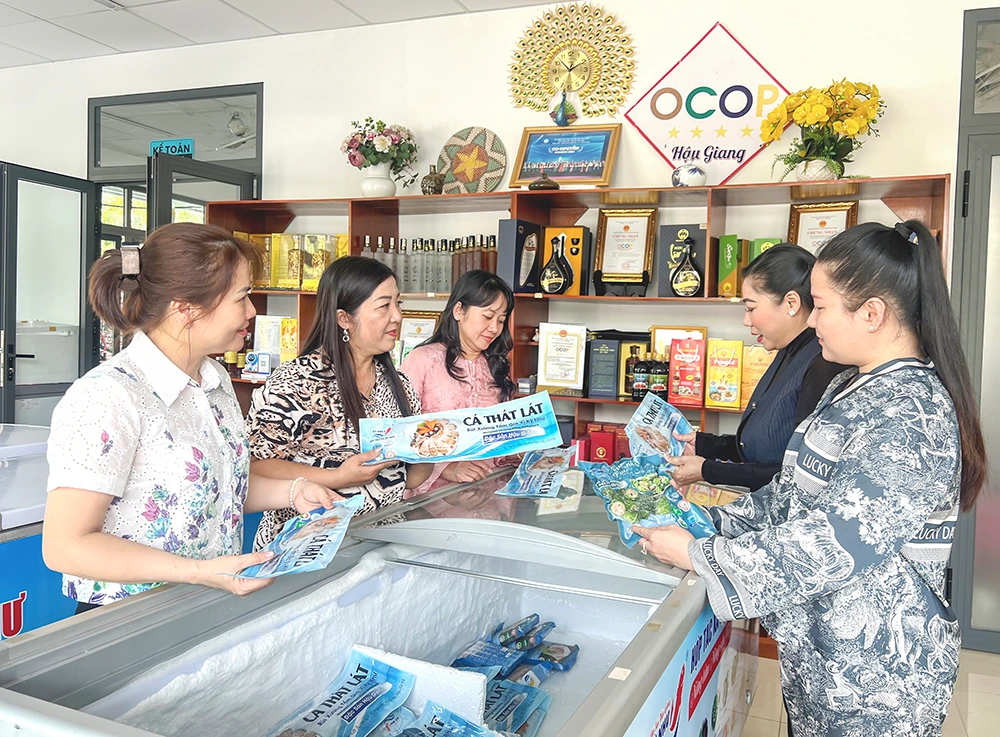 Hợp tác xã bứt phá nhờ liên kết chuỗi giá trị 