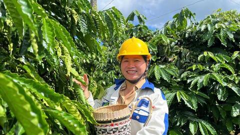 Giá cà phê hôm nay 13/7/2026:  Dao động từ 94.700 - 95.200 đồng/kg