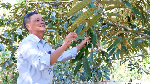 Đà Nẵng: Đảng viên tiên phong đưa Chương trình mục tiêu quốc gia vào thực tiễn