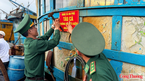 Quảng Ngãi: Hỗ trợ ngư dân giải bản tàu cá, gỡ khó chống khai thác IUU