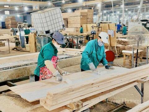 Gia Lai: Sản xuất công nghiệp, xuất khẩu và bán lẻ đồng loạt tăng