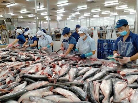 Xuất khẩu nông, lâm, thủy sản tăng tốc, hướng tới mốc 74 tỷ USD
