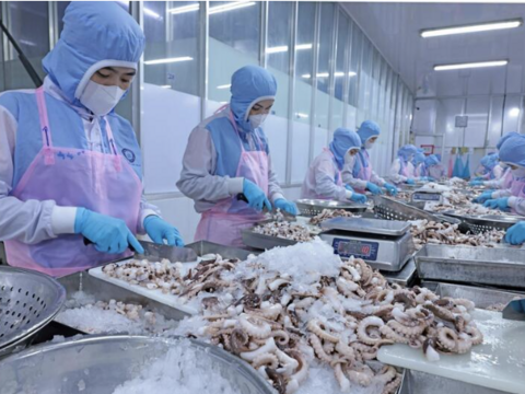 Ngăn chặn gian lận xuất xứ để bảo vệ lợi ích hàng Việt tại thị trường EU