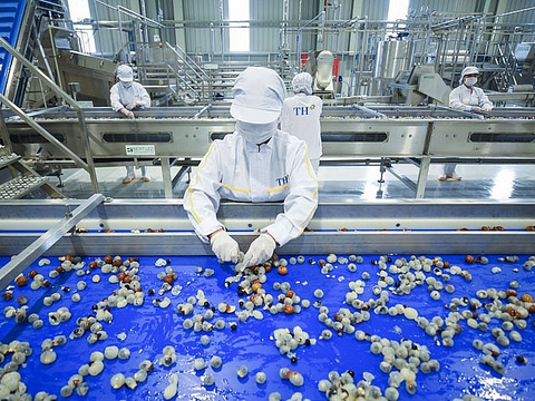 Sơn La: Phát huy 'lợi thế kép' từ năng lượng tái tạo và chế biến nông sản
