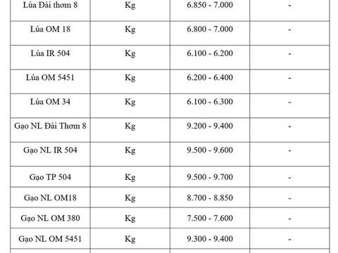 Giá lúa gạo hôm nay ngày 23/7: Gạo thơm Jasmine tăng 1.000 đồng/kg