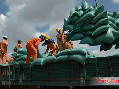 Bộ Công Thương tạo động lực mới thúc đẩy xuất khẩu gạo bền vững, hiệu quả