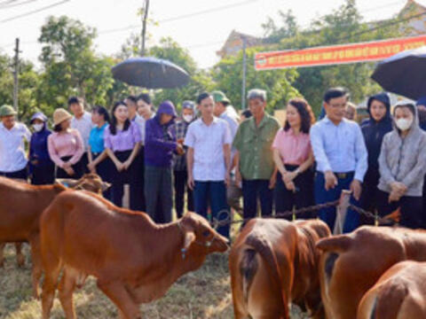 Trao tư liệu sản xuất, mở thêm sinh kế cho người nghèo Hà Tĩnh