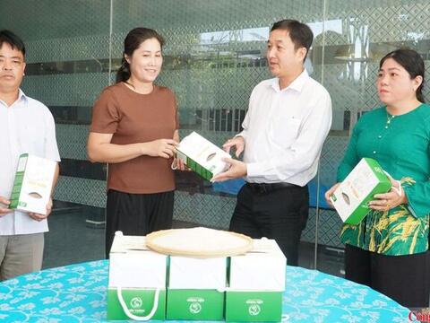 Cần Thơ: Xã Vị Thanh 1 nâng giá trị nông sản qua liên kết sản xuất