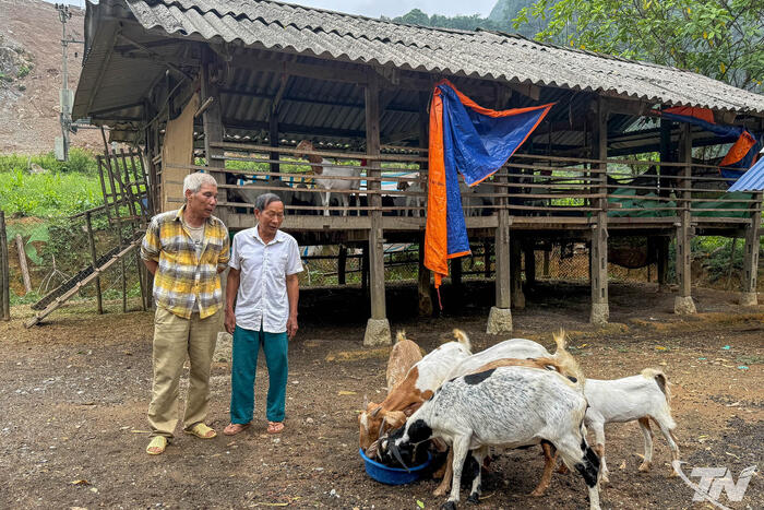 Khi dự án khép lại, đàn dê vẫn sinh sôi