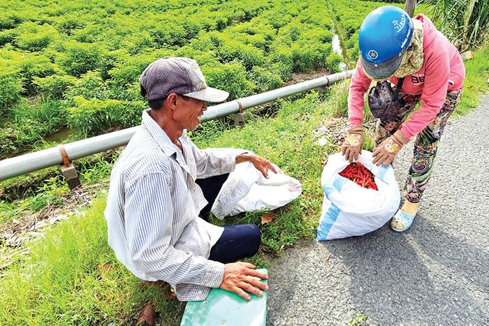 Dạo quanh thị trường ngày 28-7 