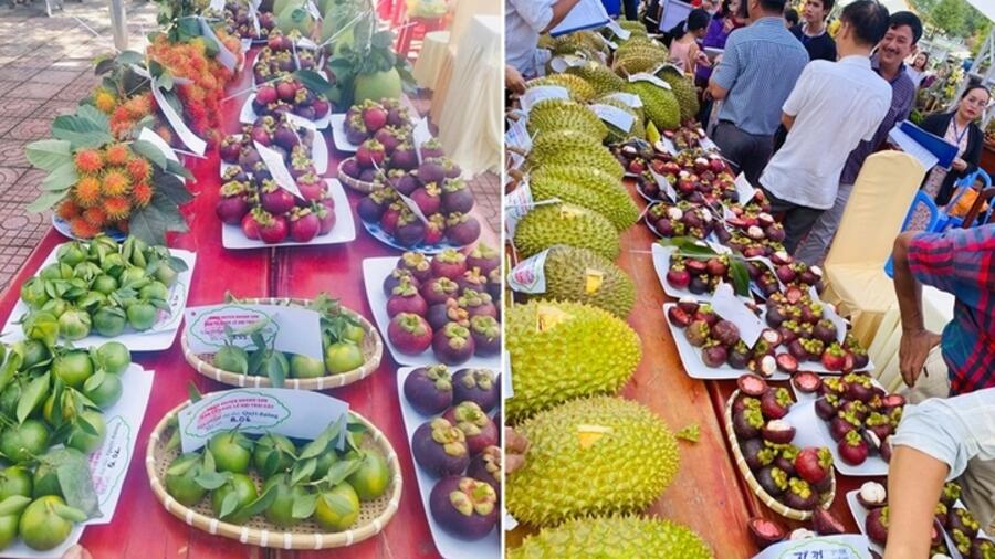 Đẩy mạnh chuỗi giá trị, mở rộng thị trường tiêu thụ trái cây miền núi