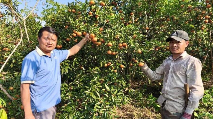 Lan tỏa những đổi thay từ hỗ trợ giảm nghèo ở Tân Pheo