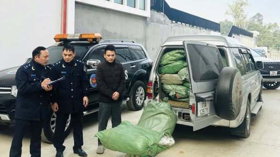 Bắt giữ gần 800 kg lá cây thuốc lá không có chứng từ hợp pháp tại Cao Bằng