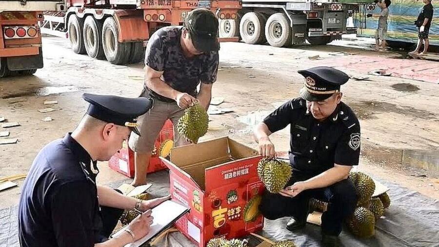 Kịp thời hỗ trợ, tạo thuận lợi cho hàng nông sản xuất khẩu