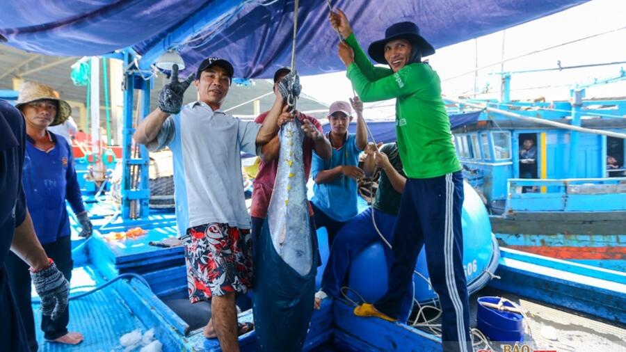 VIFTA mở thêm dư địa cho hàng Việt tại thị trường Israel