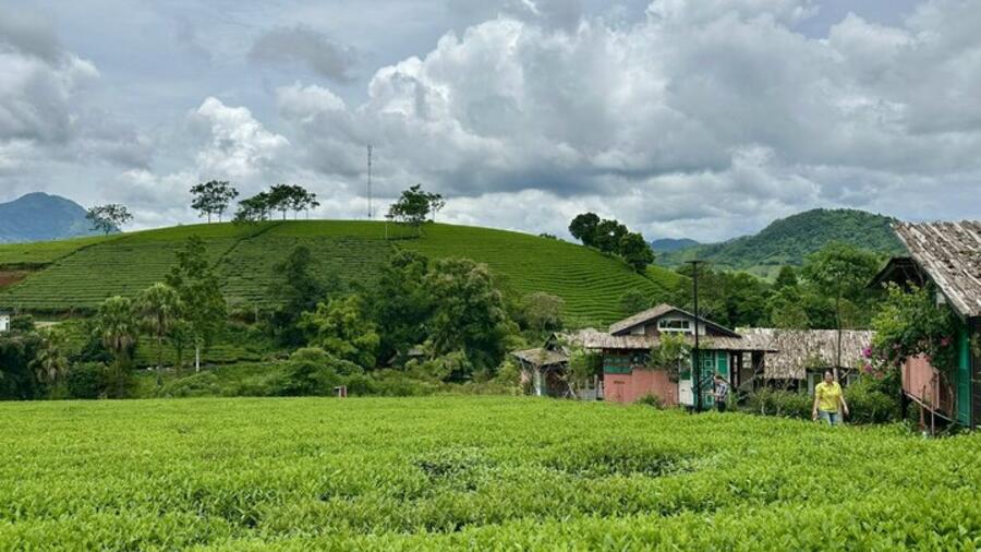 Minh Đài nâng tầm OCOP, mở hướng phát triển kinh tế nông thôn