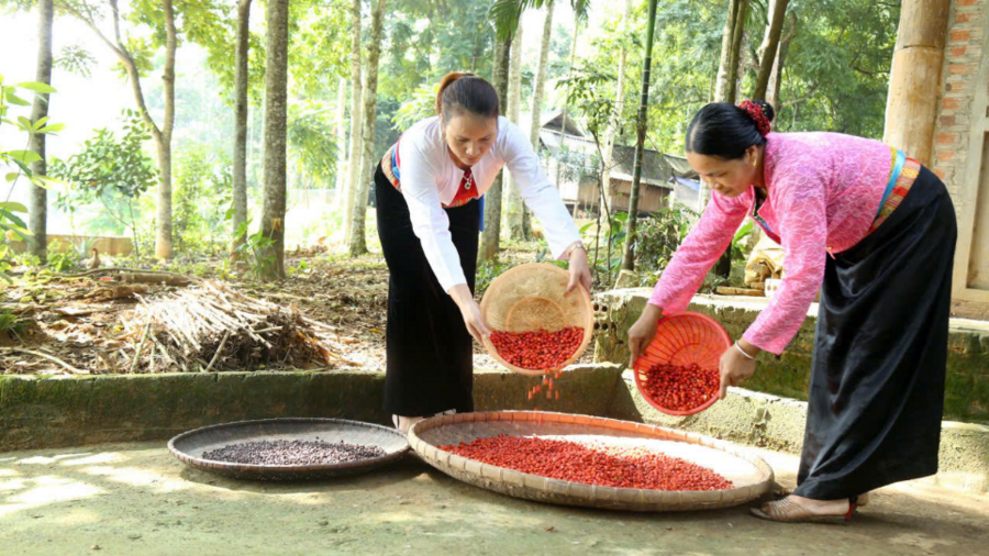 Hiệu quả tín dụng chính sách nhìn từ những mô hình sinh kế ở Lạc Sơn