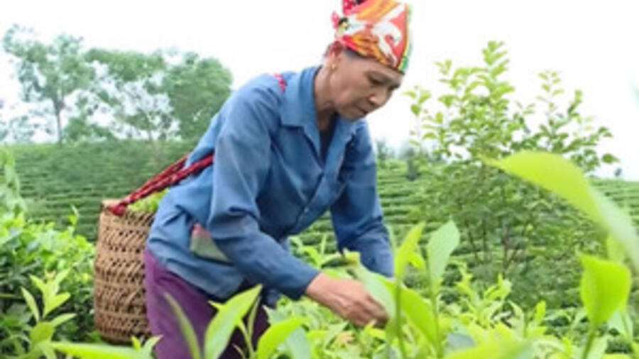 ‘Chiếc neo’ để người dân không tái nghèo
