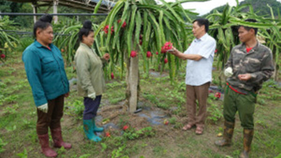 Hiệu quả từ đầu tư trường nghề ở vùng nông thôn Sơn La