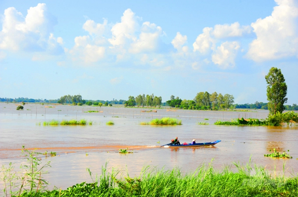 Cánh đồng xả lũ ở An Giang năm 2020 mang về phù sa cho đồng ruộng và cả nguồn lợi thủy sản phong phú. Ảnh: Lê Hoàng Vũ.