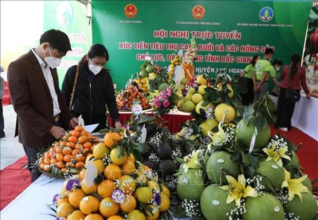 Xúc tiến tiêu thụ nông sản chủ lực đặc trưng của Bắc Giang hình ảnh 1 Xuc tien tieu thu nong san chu luc dac trung cua Bac Giang hinh anh 1