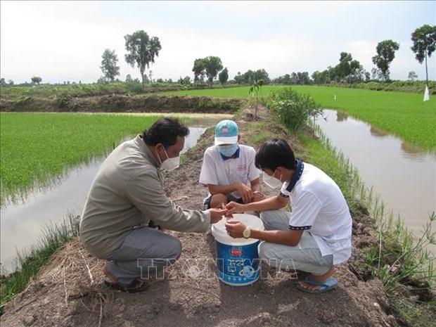Bạc Liêu xây dựng thương hiệu “Lúa thơm – Tôm sạch” hình ảnh 1 Bac Lieu xay dung thuong hieu “Lua thom – Tom sach” hinh anh 1