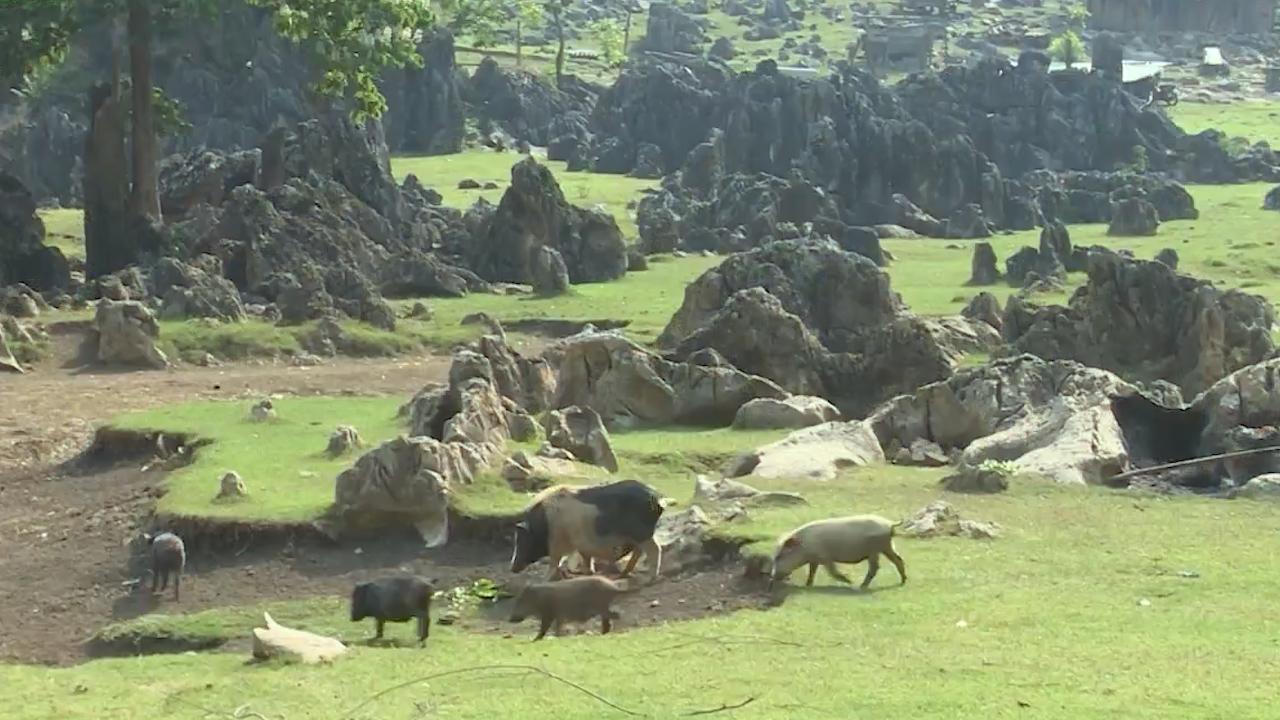 Làng “nguyên thủy” giữa núi rừng Tây Bắc - Ảnh 6. Làng “nguyên thủy” giữa núi rừng Tây Bắc - Ảnh 6.