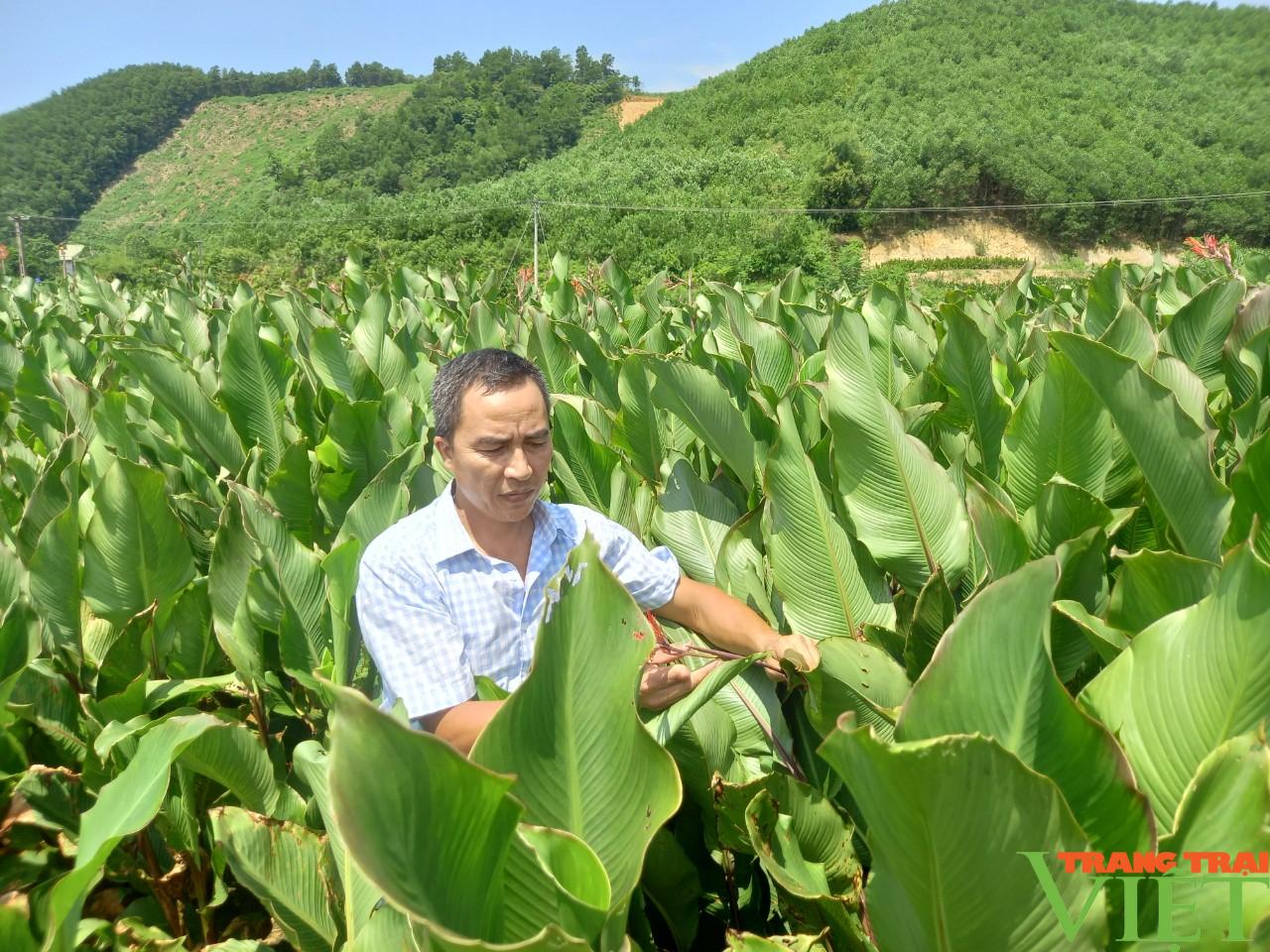 Hoà Bình: Xuất khẩu 28 tấn măng, miến dong đầu tiên sang Nhật Bản - Ảnh 1. Hoà Bình: Xuất khẩu 28 tấn măng, miến dong đầu tiên sang Nhật Bản - Ảnh 1.