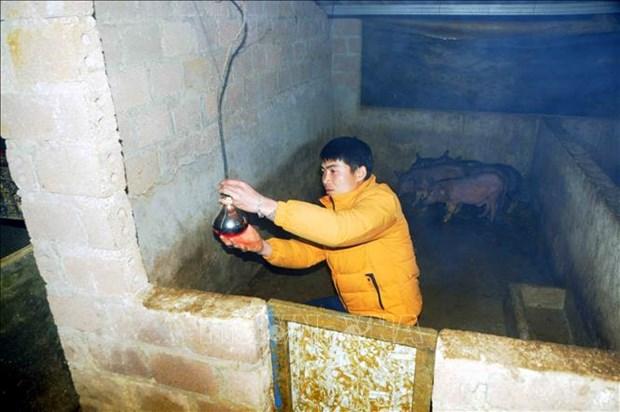 Phòng, chống rét cho đàn vật nuôi ở huyện Vân Hồ hình ảnh 1 Phong, chong ret cho dan vat nuoi o huyen Van Ho hinh anh 1