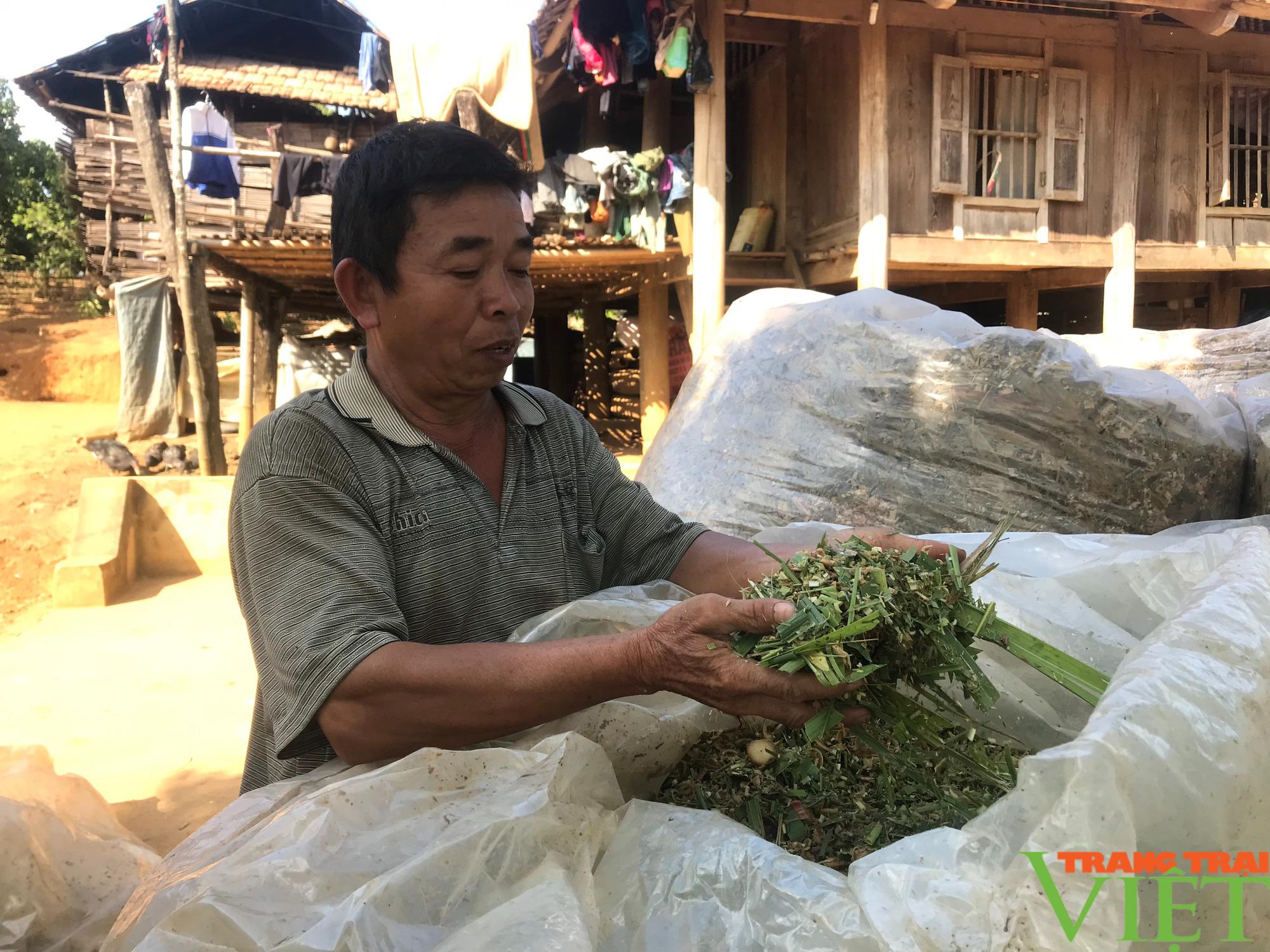 Nông thôn Tây Bắc: Nuôi trâu, bò nhốt chuồng, sức bật ở một xã anh hùng - Ảnh 3. Nông thôn Tây Bắc: Nuôi trâu, bò nhốt chuồng, sức bật ở một xã anh hùng - Ảnh 3.