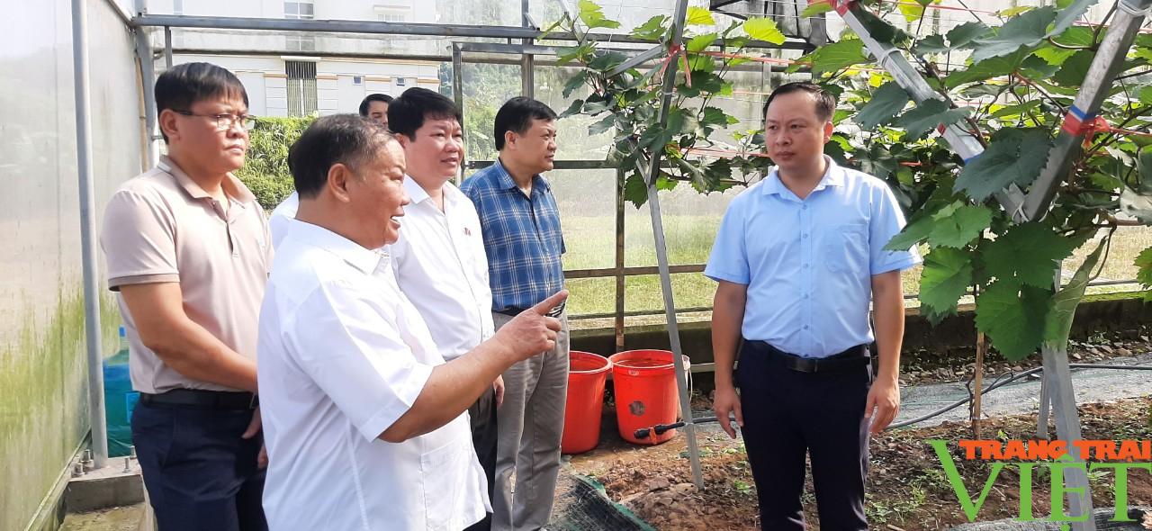 Hội Nông dân Hoà Bình: Hỗ trợ hội viên vay vốn phát triển sản xuất và làm giàu - Ảnh 1. Hội Nông dân Hoà Bình: Hỗ trợ hội viên vay vốn phát triển sản xuất và làm giàu - Ảnh 1.