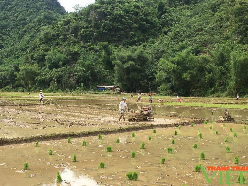 Hội Nông dân Hoà Bình: Hỗ trợ hội viên vay vốn phát triển sản xuất và làm giàu - Ảnh 5. Hội Nông dân Hoà Bình: Hỗ trợ hội viên vay vốn phát triển sản xuất và làm giàu - Ảnh 5.