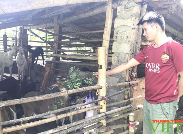 Hội Nông dân Hoà Bình: Hỗ trợ hội viên vay vốn phát triển sản xuất và làm giàu - Ảnh 6. Hội Nông dân Hoà Bình: Hỗ trợ hội viên vay vốn phát triển sản xuất và làm giàu - Ảnh 6.
