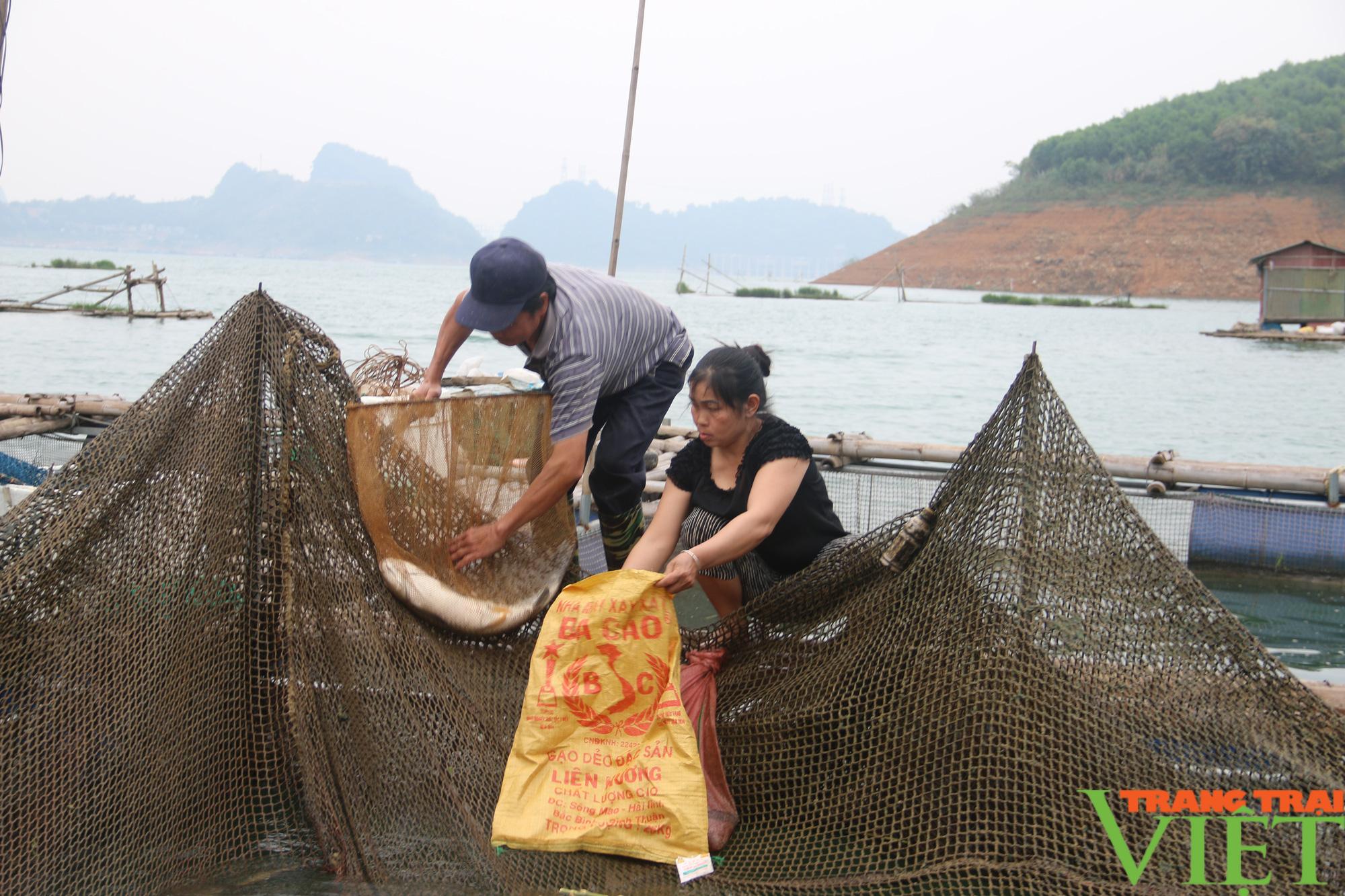 Hội Nông dân Hoà Bình: Hỗ trợ hội viên vay vốn phát triển sản xuất và làm giàu - Ảnh 4. Hội Nông dân Hoà Bình: Hỗ trợ hội viên vay vốn phát triển sản xuất và làm giàu - Ảnh 4.