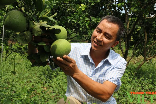 Hội Nông dân Hoà Bình: Tạo chỗ dựa vững chắc cho hội viên làm giàu - Ảnh 6. Hội Nông dân Hoà Bình: Tạo chỗ dựa vững chắc cho hội viên làm giàu - Ảnh 6.