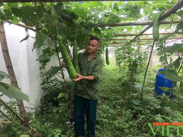 Hội Nông dân Hoà Bình cầm việc chỉ tay, giúp hội viên thoát nghèo - Ảnh 4. Hội Nông dân Hoà Bình cầm việc chỉ tay, giúp hội viên thoát nghèo - Ảnh 4.