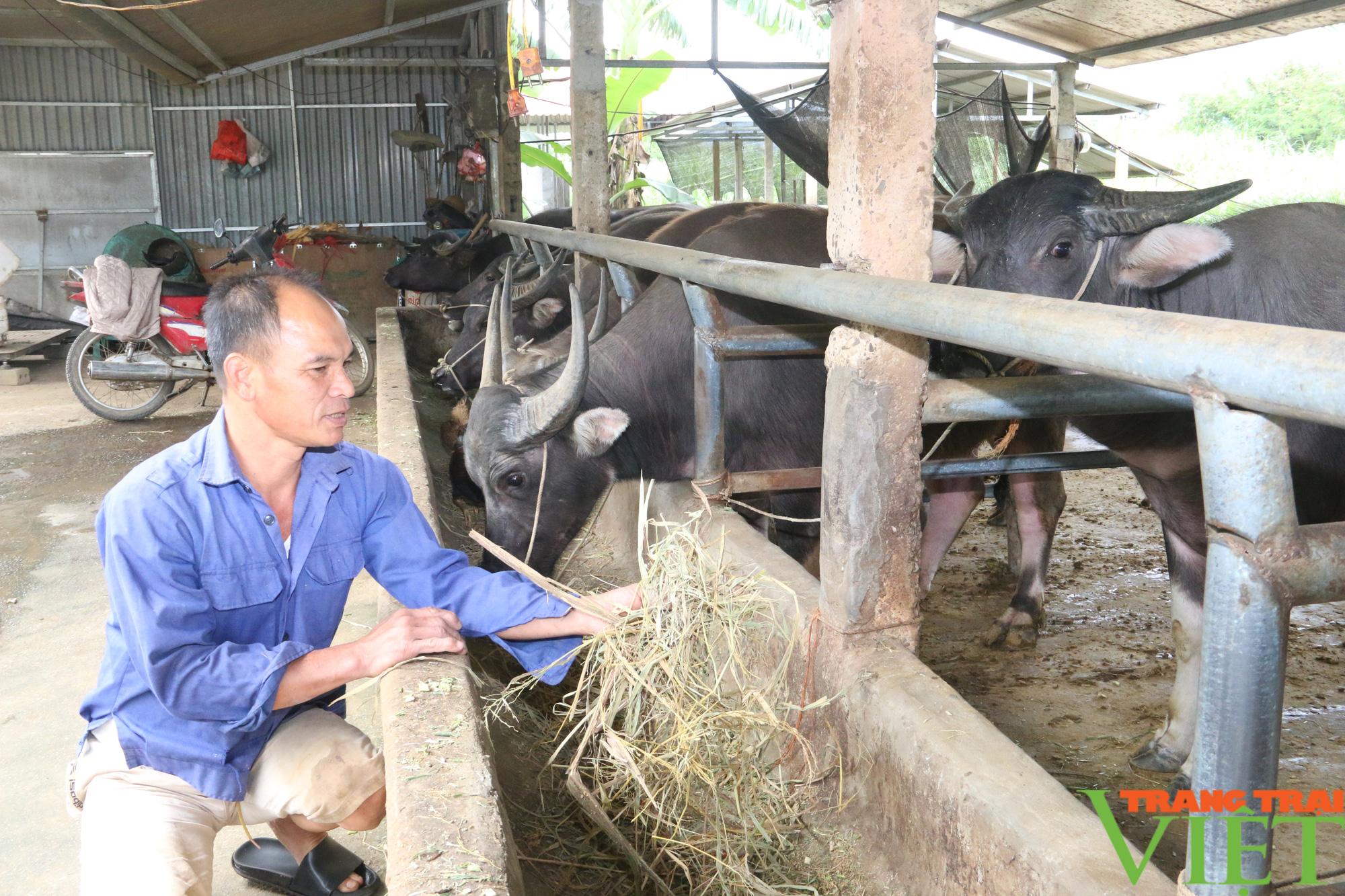 Hội Nông dân Hoà Bình cầm việc chỉ tay, giúp hội viên thoát nghèo - Ảnh 3. Hội Nông dân Hoà Bình cầm việc chỉ tay, giúp hội viên thoát nghèo - Ảnh 3.