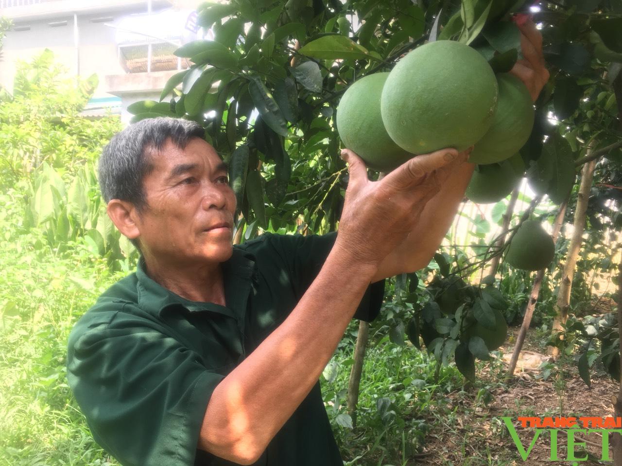 Hội Nông dân Hoà Bình cầm việc chỉ tay, giúp hội viên thoát nghèo - Ảnh 1. Hội Nông dân Hoà Bình cầm việc chỉ tay, giúp hội viên thoát nghèo - Ảnh 1.