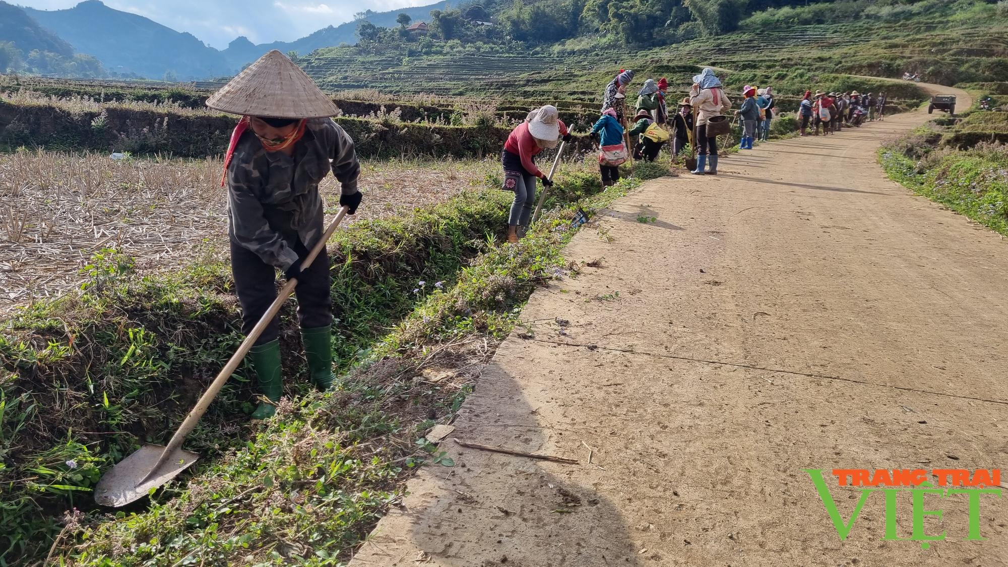Chiềng Cọ: Đa dạng các mô hình phát triển kinh tế - Ảnh 7. Chiềng Cọ: Đa dạng các mô hình phát triển kinh tế - Ảnh 7.