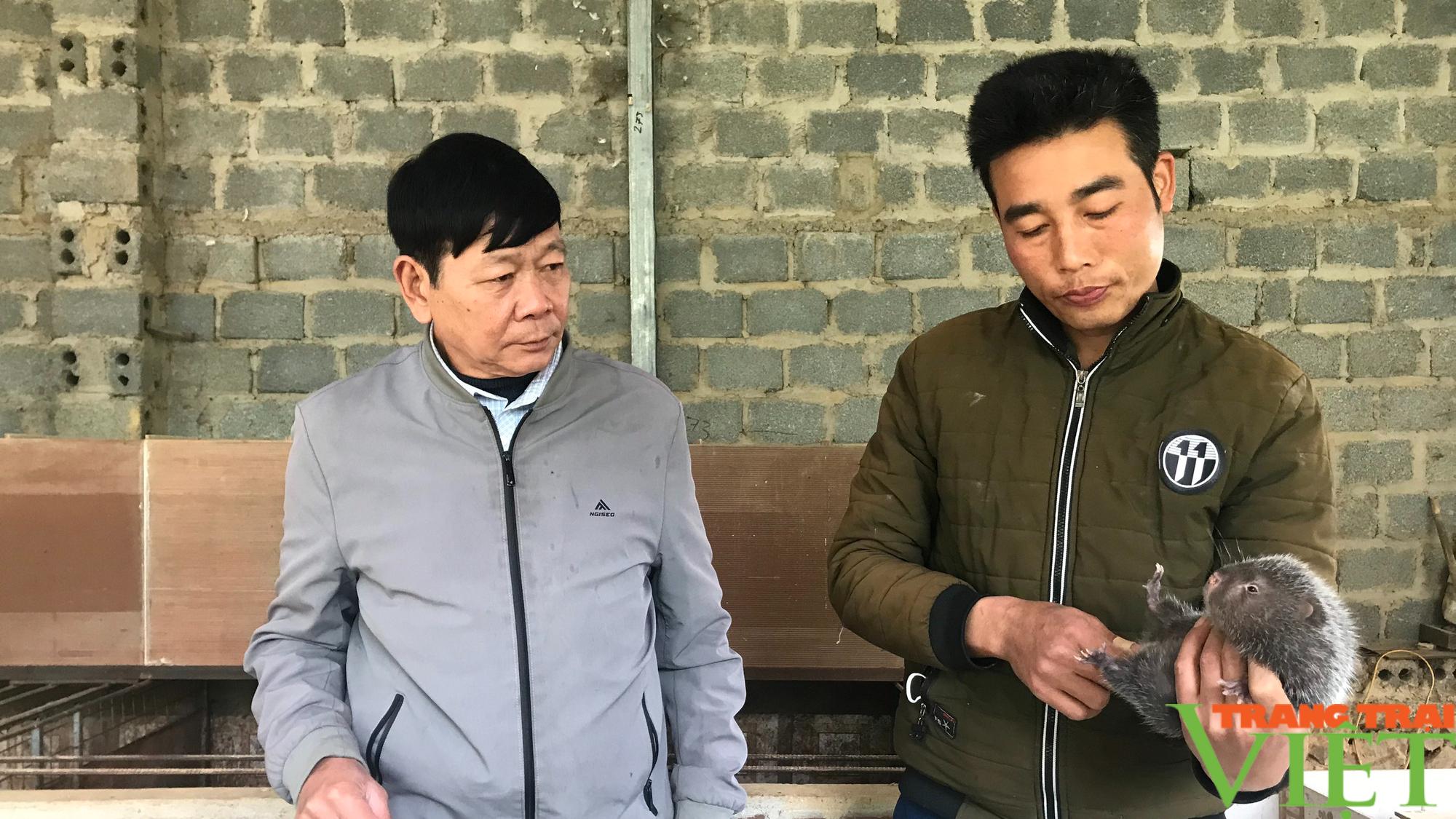 Chiềng Cọ: Đa dạng các mô hình phát triển kinh tế - Ảnh 4. Chiềng Cọ: Đa dạng các mô hình phát triển kinh tế - Ảnh 4.