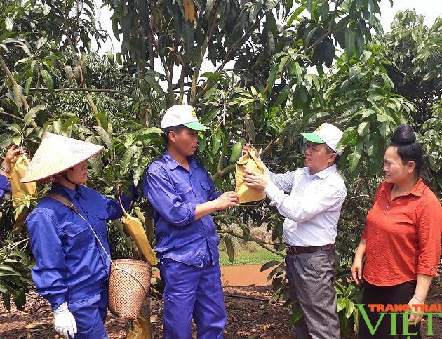 Hội Nông dân Yên Châu, giúp hội viên chăn nuôi và phát triển sản xuất - Ảnh 1. Hội Nông dân Yên Châu, giúp hội viên chăn nuôi và phát triển sản xuất - Ảnh 1.