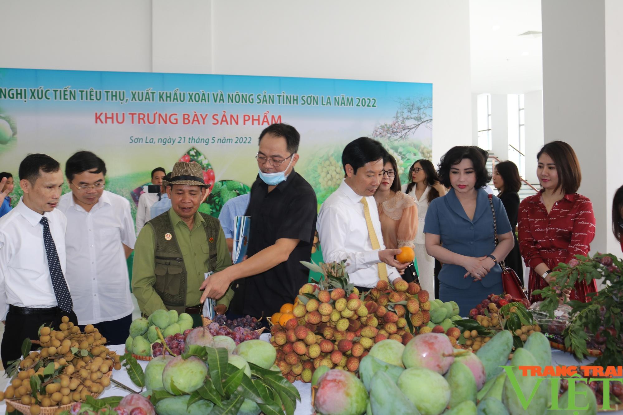 Mường La phấn đấu tiêu thụ và xuất khẩu hơn 10.000 tấn nông sản - Ảnh 4. Mường La phấn đấu tiêu thụ và xuất khẩu hơn 10.000 tấn nông sản - Ảnh 4.