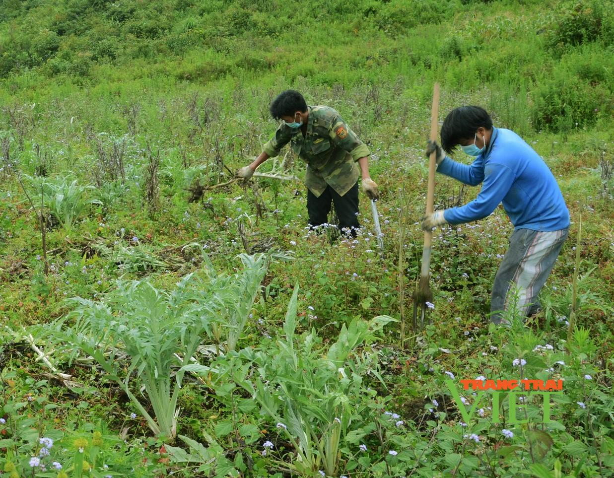 Sìn Hồ tập trung thực hiện các chỉ tiêu trong phát triển kinh tế - Ảnh 1. Sìn Hồ tập trung thực hiện các chỉ tiêu trong phát triển kinh tế - Ảnh 1.