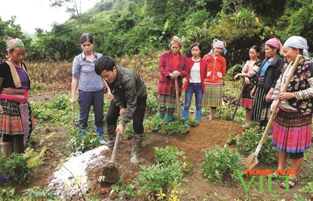 Sìn Hồ tập trung thực hiện các chỉ tiêu trong phát triển kinh tế - Ảnh 2. Sìn Hồ tập trung thực hiện các chỉ tiêu trong phát triển kinh tế - Ảnh 2.