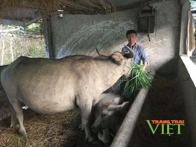 Sìn Hồ tập trung thực hiện các chỉ tiêu trong phát triển kinh tế - Ảnh 3. Sìn Hồ tập trung thực hiện các chỉ tiêu trong phát triển kinh tế - Ảnh 3.