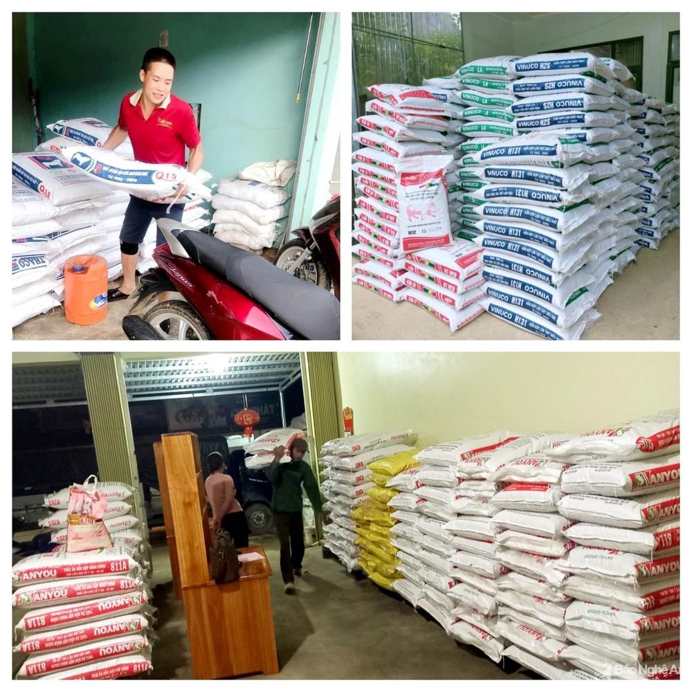 Giá lợn hơi bật tăng cao, người chăn nuôi Nghệ An tích cực tái đàn - Ảnh 4. Giá lợn hơi bật tăng cao, người chăn nuôi Nghệ An tích cực tái đàn - Ảnh 4.