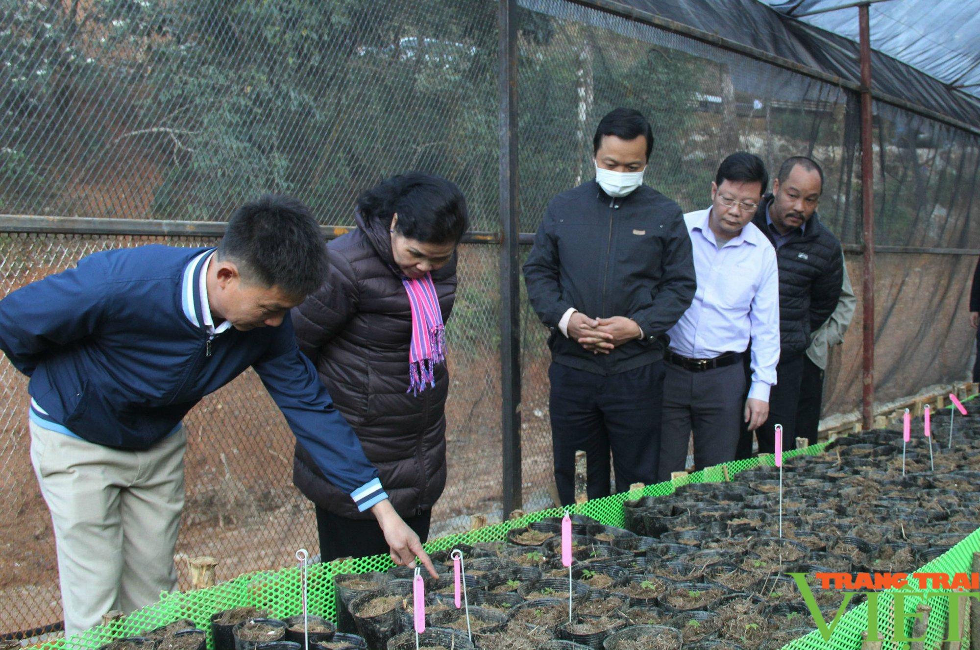 Lai Châu: Để nông nghiệp thu hút doanh nghiệp, nhà đầu tư - Ảnh 1. Lai Châu: Để nông nghiệp thu hút doanh nghiệp, nhà đầu tư - Ảnh 1.